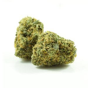 Grease Monkey - Image 1