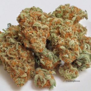 Quantum-haze.jpg