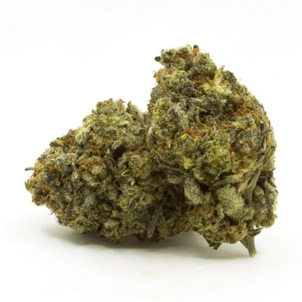 Zeus-OG-1.jpg